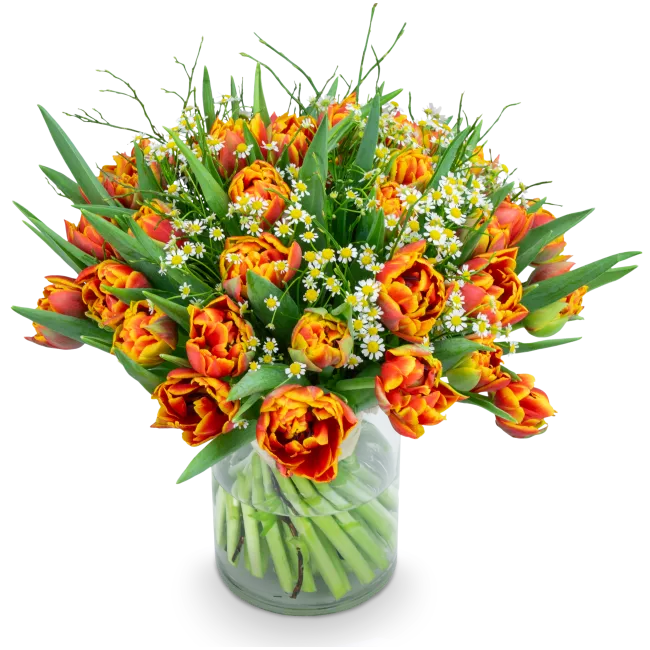 Bouquet of premium tulips